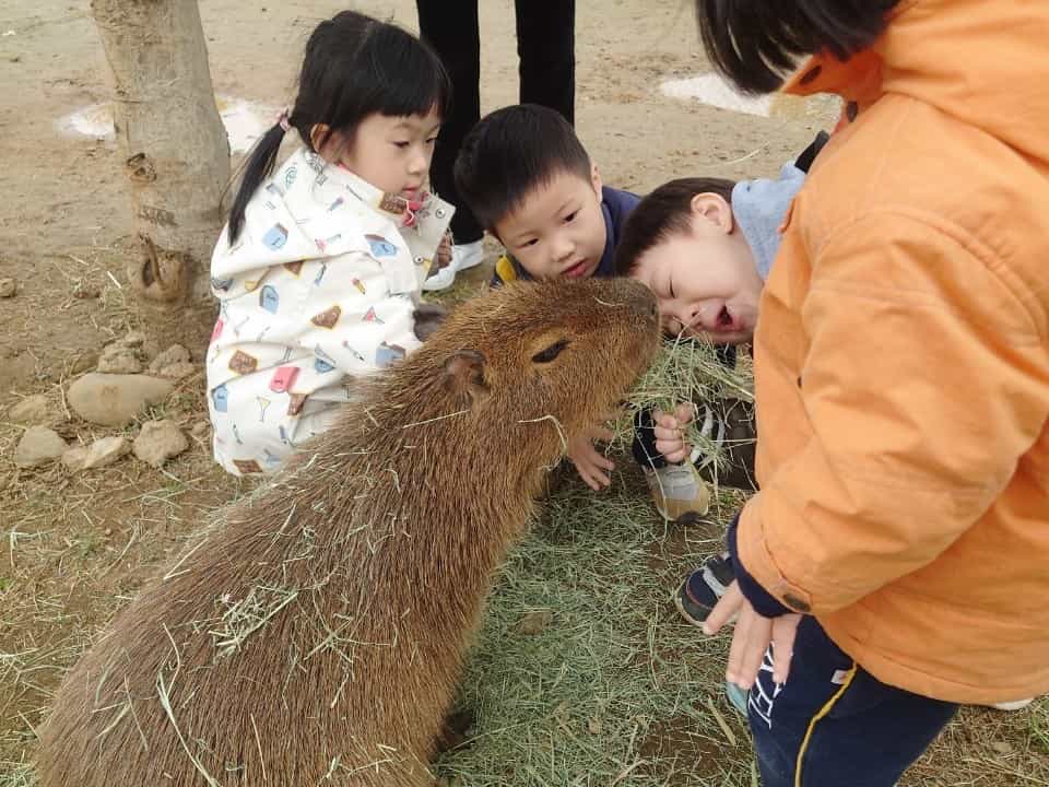 校外教學